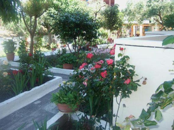 Villa Irida Sarti Exterior foto